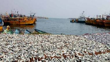 Vizag Harbor: మత్స్యకారుల ఆందోళన... విశాఖ ఫిషింగ్ హార్బర్ వద్ద తీవ్ర ఉద్రిక్తత.. ఇచ్చిన హామీలను తక్షణమే అమలు చేయాలని డిమాండ్.. భారీగా మోహరించిన పోలీసులు