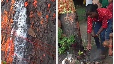 Tree Milkissue Milk from Tree: వేప చెట్టు నుంచి పాలధార.. ఉదయం మొదలైన ప్రవాహం అంతకంతకూ ...