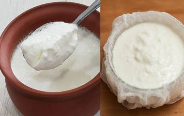 Side Effects of Sour Curd: పడేయ్యడం ఎందుకని పుల్లటి పెరుగు తింటున్నారా? అయితే మీకు లూజ్&zwnj; మోషన్స్ ఖాయం, ఇంకా ఈ అనారోగ్య సమస్యలు వస్తాయంటున్న డాక్టర్లు, పెరుగును ఫ్రిడ్జ్ నుంచి తీసిన ఎంత సేపట్లోపు తినేయ్యాలో తెలుసా?