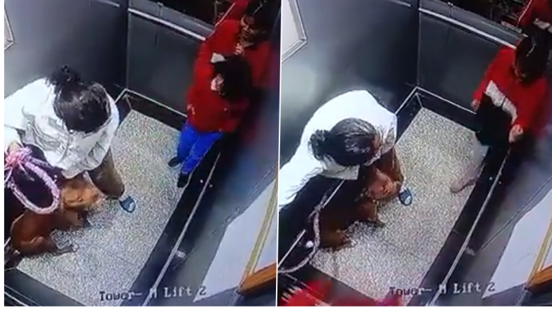 Dog Attack in Noida: లిఫ్ట్‌ ఎక్కిన చిన్నారులకు చుక్కలు చూపించిన కుక్క, భయంతో వణికిపోయిన ఇద్దరు చిన్నారులు, అపార్ట్ మెంట్లలో పెంపుడు కుక్కల నిర్వహణపై మరోసారి చర్చ