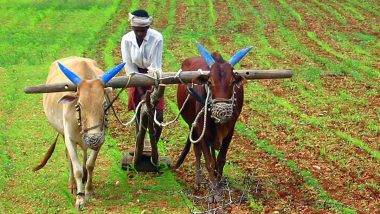 Barren Lands: బంజరు భూముల్లోనూ బంగారు పంటలు.. గాజుతో చేసిన ఫర్టిలైజర్లతో సాధ్యమే.. బనారస్‌ హిందూ యూనివర్సిటీ ప్రకటన