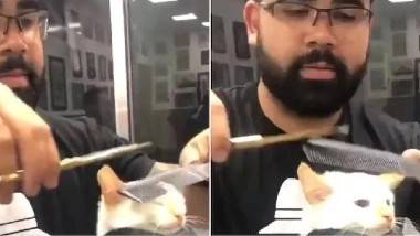 Cat in Salon: సెలూన్ లో పిల్లికి కటింగ్ చేసిన హెయిర్ డ్రెస్సర్.. తల, మీసాలు కట్ చేసిన వైనం.. ఎటూ కదలకుండా కటింగ్ చేయించుకున్న పిల్లి.. వీడియో చూసి నెటిజన్ల ఫిదా