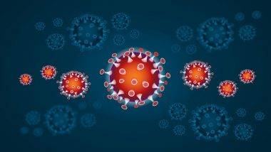 Covid Virus in Human Body: రక్తంలో 14 నెలల పాటు కరోనా.. ఇక కణజాలంలో ఏకంగా రెండేండ్ల వరకు వైరస్.. తాజా అధ్యయనంలో వెల్లడి