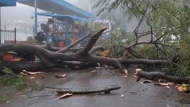 Cyclone Mandous: మాండూస్ తుపానుతో చెన్నై విలవిల, పలు ప్రాంతాల్లో బలమైన ఈదురు గాలులు, నేలకొరిగిన భారీ వృక్షాలు, విద్యుత్‌ స్తంభాలు