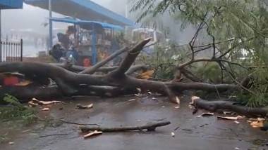 Cyclone Mandous: మాండూస్‌ తుపాను బాధితులకు ఆర్థిక సాయం విడుదల చేసిన ఏపీ ప్రభుత్వం, తుపానుపై ఏపీ సీఎం జగన్ సమీక్ష, ఈనెల 15వ తేదీన మరో అల్పపీడనం