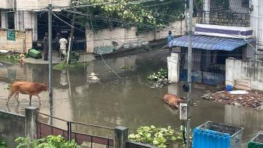 Cyclone Mandous: తిరుపతి నగరాన్ని అస్తవ్యస్తం చేసిన మాండూస్ తుఫాను, భారీ వర్షాల దెబ్బకు అల్లాడిపోయిన బాలాజీ జిల్లా, ఇళ్లలోకి నీరు చేరడంతో ప్రజలు తీవ్ర అవస్థలు