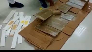 Chennai Airport Drug Bust: చెన్నై ఎయిర్ పోర్టులో డగ్స్ గుట్టురట్టు చేసిన స్నిఫర్ డాగ్ ఓరియో, ఉగాండా ప్రయాణీకుడి బ్యాగు నుంచి 1,542 గ్రాముల మెథాక్వలోన్ & 644 గ్రాముల హెరాయిన్ స్వాధీనం