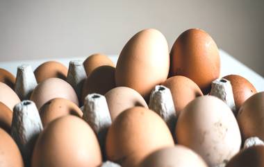 Egg Price Hike in Pakistan: పాకిస్తాన్‌లో ఒక్క కోడిగుడ్డు ధర రూ. 32 పై మాటే, ఒక్కసారిగా పెరిగిన ధరలతో ప్రభుత్వంపై తిరగబడుతున్న ప్రజలు