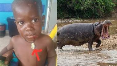 Hippo Swallows Kid: రెండేళ్ల బాలుడిని మింగేసిన నీటి గుర్రం, రాళ్లతో గట్టిగా అరుస్తూ తరమడంతో నోట్లో నుంచి వదిలేసిన హిపోపాటమస్, ఉగాండాలో షాకింగ్ ఘటన