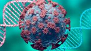 White Lung Syndrome: చైనా న్యూమోనియా పోకముందే మరో మిస్టరీ వ్యాధి, వైట్ లంగ్ సిండ్రోమ్‌తో పాడైపోతున్న ఊపిరితిత్తులు, ప్రపంచ వ్యాప్తంగా పిల్లలపై తీవ్ర ప్రభావం