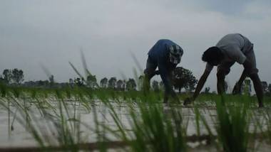 Rains In AP: 8 నుంచి కోస్తా, రాయలసీమల్లో వర్షాలు.. వరి కోతల వేళ రైతుల ఆందోళన.. ఏపీలో ఫిబ్రవరి వరకు చలి వణికిస్తుందన్న ఐఎండీ