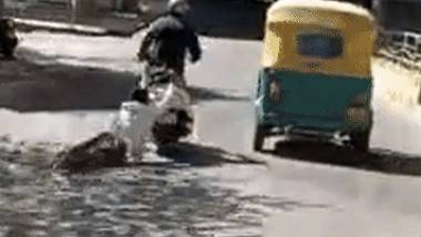 Man Being Dragged by Scooter: షాకింగ్ వీడియో, వీడు మనిషేనా అసలు, వృద్ధుడనే కనికరం లేకుండా స్కూటర్ వెనుక లాక్కెళ్లిన ఓ యువకుడు