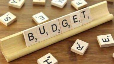 Union Budget 2023: ద్రవ్యలోటు, మూలధన వ్యయం.. బడ్జెట్ లో వాడే ఈ పదాలకు అర్థాలు తెలుసా?