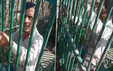 Man Stuck in Leopard Cage: కోడికోసం వెళ్లి పులిబోనులో చిక్కిన వ్యక్తి, చిరుతను పట్టుకునేందుకు పెట్టిన కోడిని దొంగిలించేందుకు యత్నించిన వ్యక్తికి దిమ్మతిరిగే షాక్