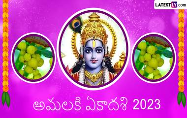 Amalaki Ekadashi 2023: మార్చి 2న అమలకీ ఏకాదశి పండగ, ఈ రోజున ఉసిరి కాయలతో ఈ పూజ చేస్తే కోటీశ్వరులు అవడం ఖాయం..