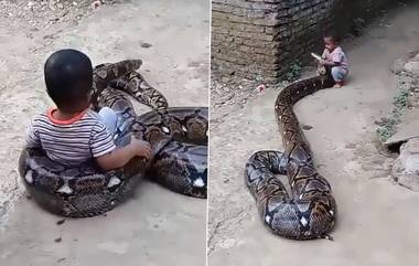 Child Playing with Anaconda: వైరల్ వీడియో, అనకొండతో ఆడుకుంటున్న బాలుడు, దాన్ని లాగుతూ, పైన పడుతూ ఎంజాయ్ చేస్తున్న వీడియో ఇదిగో..