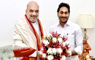 CM Jagan Meets HM Amit Shah: తెలుగు రాష్ట్రాల మధ్య విభ­జన సమస్యలు వెంటనే పరిష్కరించండి, హోం మంత్రి అమిత్‌ షా‌తో భేటీలో సీఎం జగన్