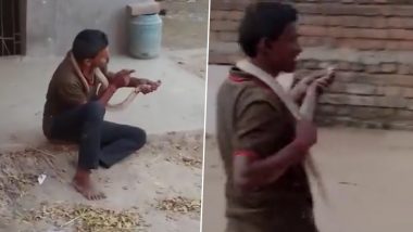 Viral Video: మందేసి.. చిందేసి.. ఆ తర్వాత కండ్లు తేలేసి... నాగుపాముకు మందుబాబు ముద్దులు.. కాటేయడంతో కైలాసానికి.. బీహార్ లో ఘటన.. వీడియో వైరల్