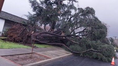 California Storm: అమెరికాలోని కాలిఫోర్నియాలో అత్యవసర పరిస్థితి, రాష్ట్రాన్ని ఒక్కసారిగా ముంచెత్తిన మరో తుఫాన్, 3,60,000లకు పైగా ఇళ్లకు పవర్ కట్