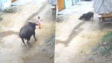 Stray Bull Attack on Child: పిల్లల్ని అలా నిర్లక్ష్యంగా వదిలేయకండి, ఆడుకుంటున్న చిన్నారిపై ఎద్దు దాడి, సోషల్ మీడియాలో వీడియో వైరల్