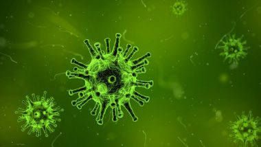 H3N2 Virus: మహారాష్ట్రలో హెచ్‌3ఎన్‌2 కల్లోలం, అత్యధికంగా 352 కేసులు నమోదు, హెచ్‌3ఎన్‌2 వైరస్‌ సోకి ఎంబీబీఎస్ విద్యార్థి మృతి చెందినట్లుగా వార్తలు
