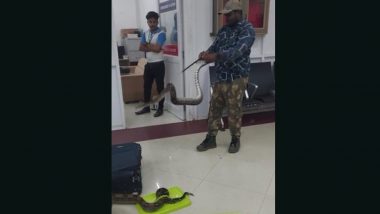Snakes In Airport: చెన్నై విమానాశ్రయంలో షాకింగ్ సీన్.. మహిళ లగేజీలో 22 పాములు.. ఒళ్లు గగుర్పొడిచే ఈ వీడియో మీరూ చూసేయండి!