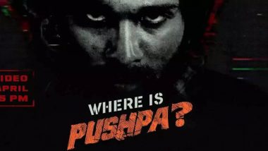 Pushpa 2 Teaser Video: అడవిలో పులి ముందు నుంచి పుష్ప రాజ్‌, పుష్ప 2 టీజర్‌ వచ్చేసింది, పులి రెండడుగులు వెనక్కి వేసిందంటే పుష్ప వచ్చాడని అర్థమంటూ.