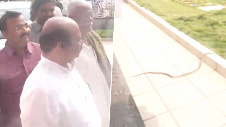 Snake Found In BJP Office: కర్ణాటక సీఎం బొమ్మై ఉన్న సమయంలోనే బీజేపీ ఆఫీసులో పాము కలకలం.. పట్టేసుకున్న భద్రతా సిబ్బంది