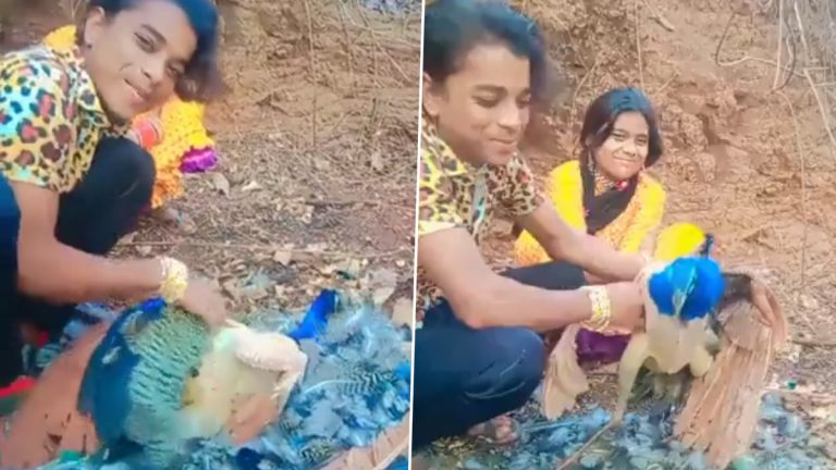 Viral Video: నెమలి ఈకలు ఒక్కొక్కటిగా తొలగిస్తూ మూగజీవికి నరకం చూపించి చంపిన యువకుడు.. మధ్యప్రదేశ్ లో హృదయవిదారక ఘటన.. వీడియో ఇదిగో..