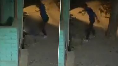 Delhi Girl Murder Video: షాకింగ్ వీడియో, బాలికను నడిరోడ్డు మీద కత్తితో పదే పదే పొడిచి చంపిన ప్రియుడు