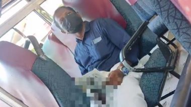 Man Masturbates in Bus Video: వీడియో ఇదిగో, బస్సులో మహిళను చూస్తూ హస్త ప్రయోగం, ఔట్ కాగానే బస్సు దిగి పరార్