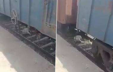 Train Viral Video: వృద్ధుడి మీద నుంచి వెళ్లిన రైలు.. అయినప్పటికీ, అతనికి ఏమీ కాలేదు.. ఎందుకు? ఇదిగో వైరల్ వీడియో