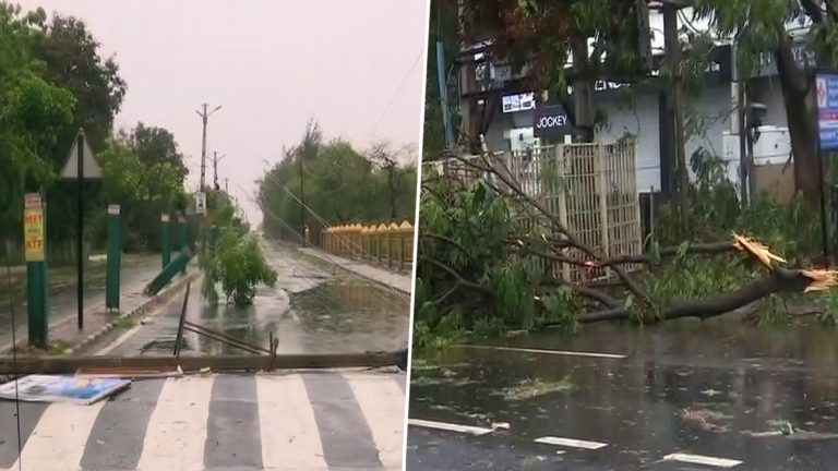 Cyclone Biparjoy: వీడియో ఇదిగో, తీరాన్ని తాకుతూ పెను విధ్వంసాన్ని సృష్టించిన బిపర్‌జోయ్‌, కుప్పకూలిన మహా వృక్షాలు, రోడ్డు క్లియరెన్స్ ఆపరేషన్‌ నిర్వహిస్తున్న NDRF సిబ్బంది