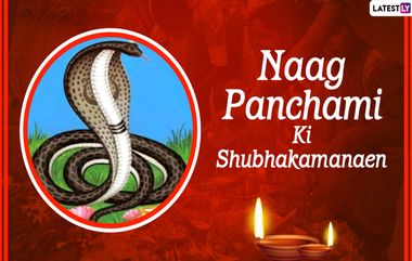 Naga Panchami 2023: జూలై 7న నాగపంచమి పండగ, ఈ రోజుల కాలసర్పదోషం పోవాలంటే ఏ పూజ చేయాలో తెలుసుకోండి..?