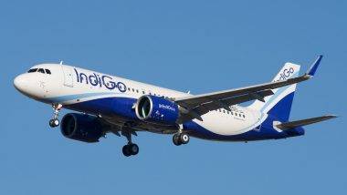 IndiGo Flight: విమానం గాల్లో ఉండగానే ఎమర్జెన్సీ డోర్ తెరిచి బయటకు రావాలని ప్రయత్నించిన ప్రయాణికుడు, ఒక్కసారిగా భయాందోళనలకు గురైన తోటి ప్రయాణికులు