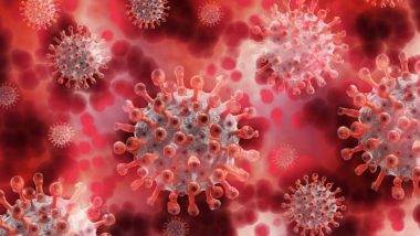 HMPV Virus Spreading in US: ఈ సారి అమెరికాలో కొత్త వైరస్, కరోనా లాగే మనిషి నుండి మనిషికి సోకుతున్న హెచ్ఎంపీవీ వైరస్, లక్షణాలు ఓ సారి తెలుసుకోండి