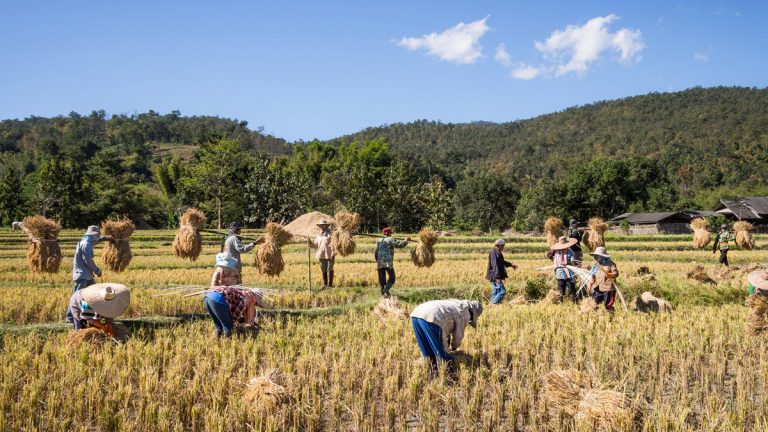 PM Kisan Installment Date: రైతులకు గుడ్ న్యూస్, ఈ నెల 27న పీఎం కిసాన్ డబ్బులు అకౌంట్లోకి, PM కిసాన్ స్థితిని ఎలా తనిఖీ చేయాలో తెలుసుకోండి