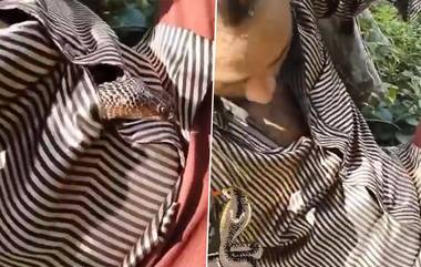 Snake Found Inside Shirt: వీడియో ఇదిగో, తప్పతాగి పడుకున్న వ్యక్తి చొక్కాలోకి దూరిన పాము, చివరలో ట్విస్ట్ ఏంటంటే..