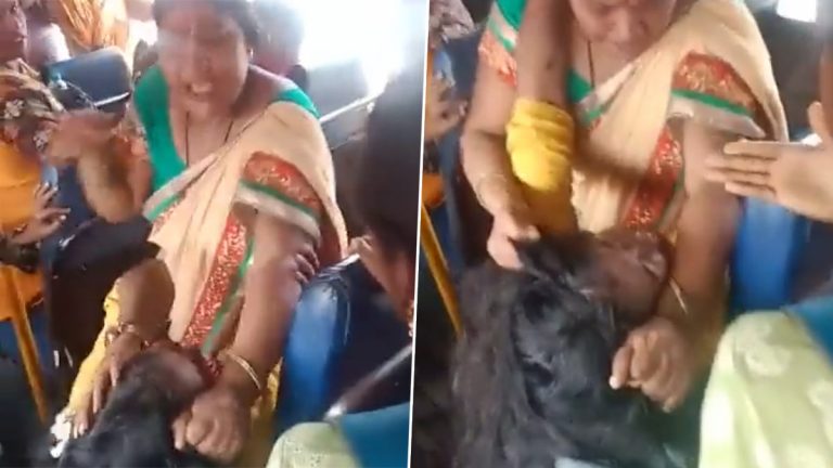 Women Fight in Bus Video: బస్సులో సీటు కోసం జుట్టు పట్టుకుని తన్నుకున్న మహిళలు, వీడియో ఇదిగో..