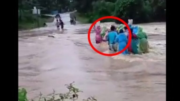 Telangana Rains: షాకింగ్ వీడియో, వాగు దాటుతూ మహిళ గల్లంతు, భద్రాద్రి కొత్తగూడెం జిల్లా ములకలపల్లి మండలంలో ఘటన..