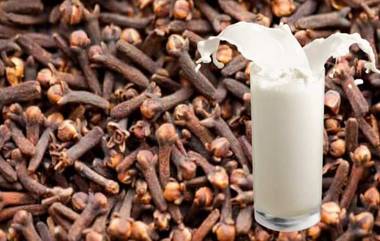 Clove With Milk Benefits: పాలల్లో లవంగాలను కలుపుకొని తాగితే కలిగే లాభాలు తెలిస్తే షాక్ తినడం ఖాయం..ఇక డాక్టర్ వద్దకు వెళ్లాల్సిన పనిలేదు..