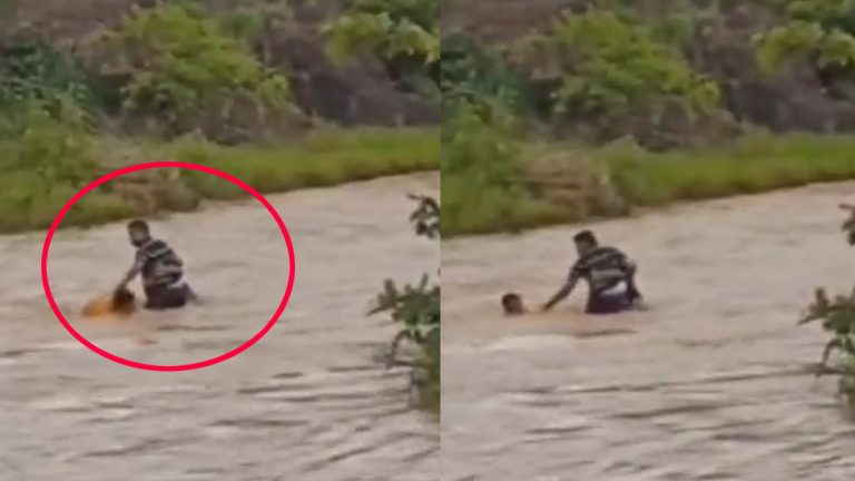 Video: వీడియో ఇదిగో, జలపాతంలో కొట్టుకుపోతున్న తండ్రి, కొడుకులను కాపాడిన పర్యాటకులు, సంగారెడ్డిలో ఘటన