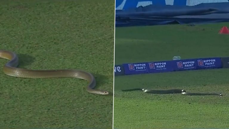 Snake In Cricket Match: మ్యాచ్ సాగుతుండగా ఆరడుగుల పాము.. శ్రీలంకలో లంక ప్రీమియర్ లీగ్ పోటీల్లో కలకలం.. వీడియో వైరల్