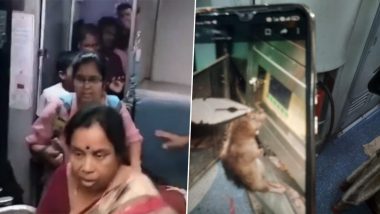 Rat in Godavari Express: 20 నిమిషాల పాటు గోదావరి ఎక్స్‌ప్రెస్ రైలును ఆపేసిన ఎలుక, క్యాబిన్ కంట్రోల్ పానెల్‌లోకి దూరడంతో పొగలు