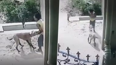 Stray Dog Attack: నిజామాబాద్‌లో బాలుడి మీద దాడి చేసిన వీధి కుక్క, వీడియో ఇదిగో..