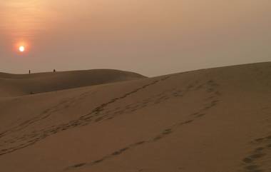 Thar Desert: భూతాపంతో ప్రపంచంలోని ఎడారులు అన్నీ వేడేక్కుతుంటే.. థార్‌ ఎడారిలో పరుచుకుంటున్న పచ్చదనం.. ఎందుకు ఇలా??