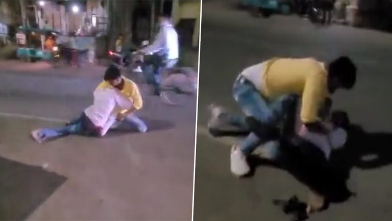 Viral Video: వీడియో ఇదిగో, 10 రూపాయలకు 7 పానీ పూరీలు ఇవ్వలేదని తన్నుకున్న దుకాణదారుడు, కస్టమర్, రోడ్డు మీద పడి విచ్చలవిడిగా..