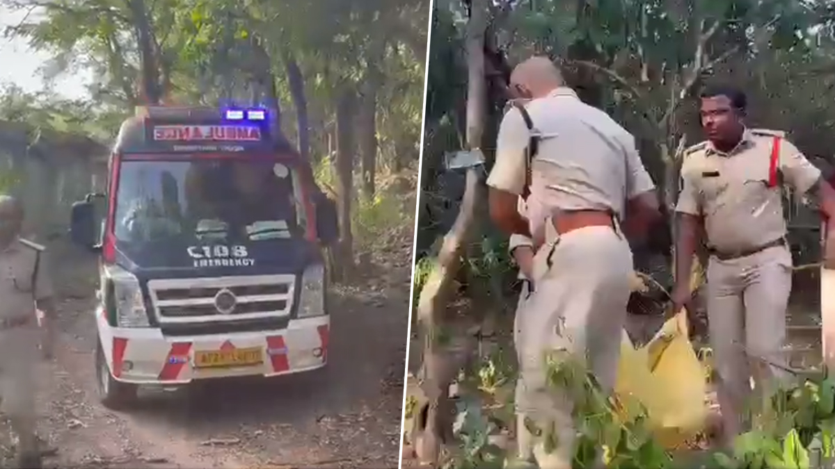 Leopard killed Kid in Tirumala: వీడియో ఇదిగో, నెల వ్యవధిలో రెండోసారి, తిరుమల అలిపిరి నడకమార్గంలో చిన్నారిని చంపేసిన చిరుత