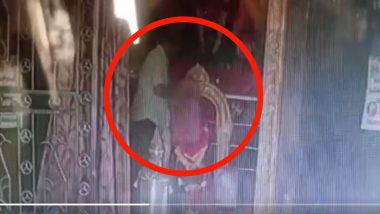 Viral Video: వైరల్ వీడియో చూస్తే షాక్, విశాఖ - పెందుర్తి నూకాలమ్మ అమ్మవారి గుడిలో 40 తులాల వెండి కీరిటం దొంగిలించిన దొంగలు