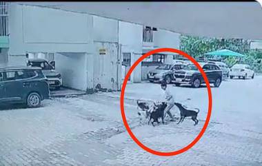 Viral Video: దారుణం..ఈ వీడియో చూస్తే తట్టుకోలేరు..యూపీలో పిల్లాడిపై దాడి చేసిన కుక్కలు